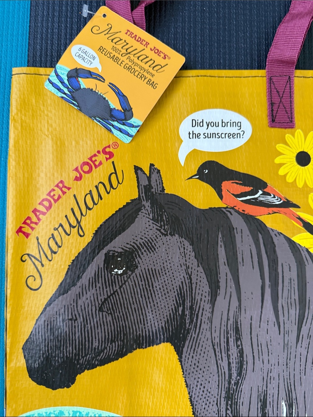 Trader Joe's Reusable Tote Bags - States (Set of 4) - Picture 3 of 10